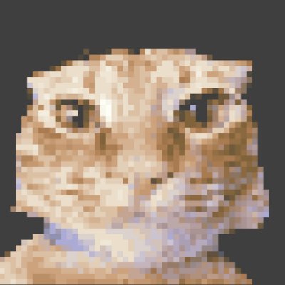 Zuhaitz Developer Profile Picture