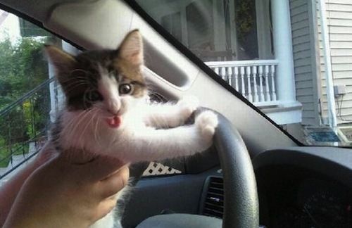 Thumbnail for Linux Drivers: A Simple Character Device
